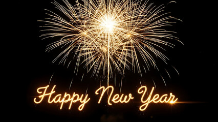 Celebrating new year with fireworks