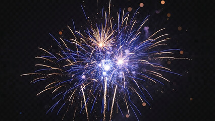 Vibrant night sky fireworks display