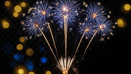 Vibrant fireworks display at night