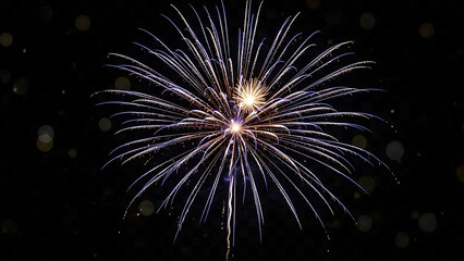 Vibrant firework display in night sky