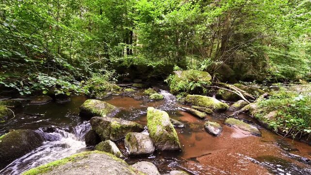 Filmmaterial des  H&ouml;llbach im Naturschutzgebiet H&ouml;llbachtal bei dem Rundwanderweg in Rettenbach bei Falkenstein in Bayern, Deutschland