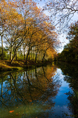 Obraz premium Canal du Midi at Gardouch lined with plane trees in autumn colors