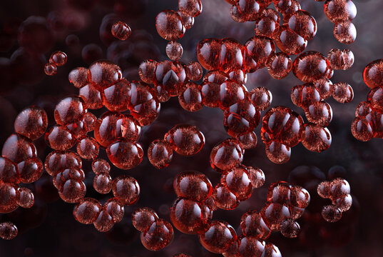 Haematococcus pluvialis microalgae cells, a natural source of astaxanthin antioxidant. Scientific 3D of microscopic algae structure. Biotechnology, nutrition, dietary supplements, cosmetics