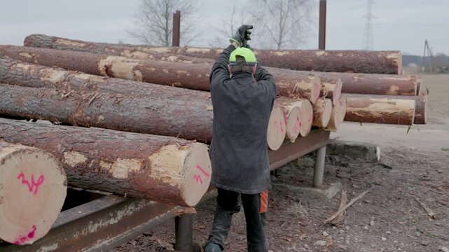A man in a high-visibility cap and gloves uses a timber hook to move numbered logs stacked at an outdoor sawmill under cloudy skies