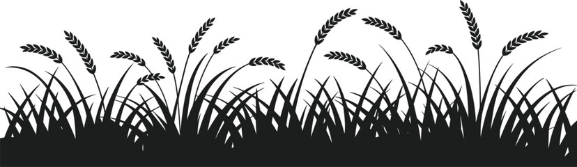 Black silhouette of wheat grass stalks and blades against a white background field agriculture