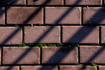 ladrillos marrones en la calzada con sombras de barrera y algo de musgo verde