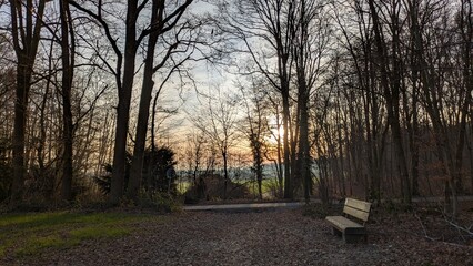 Spaziergang in der Natur, Sonnenaufgang im Herbst, Viersen, Deutschland, B&auml;ume ohne Laub
