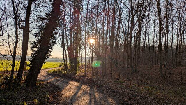 Spaziergang in der Natur, Sonnenaufgang im Herbst, Viersen, Deutschland, B&auml;ume ohne Laub
