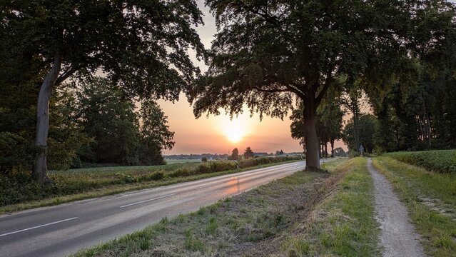 Landstra&szlig;e in Viersen im Sonnenuntergang mit B&auml;umen, Stra&szlig;e und Allee zur Jahreszeit Sommer, Abend