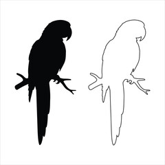 Parrot silhouette isolated - vector illustration. Flying macaw parrot silhouette vector graphic design element illustration .