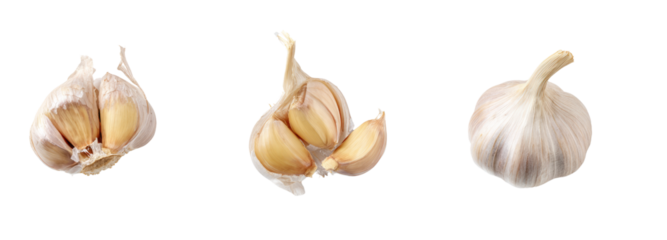 Garlic cloves freshly harvested transparent background culinary inspiration