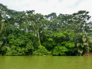 Landscape along a Tortuguero canal in Tortuguera National Park.