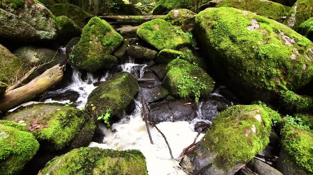 Filmmaterial des  H&ouml;llbach im Naturschutzgebiet H&ouml;llbachtal bei dem Rundwanderweg in Rettenbach bei Falkenstein in Bayern, Deutschland