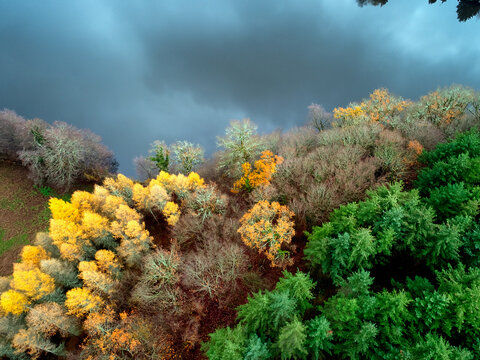 Aerial view of vibrant autumn foliage contrasting with dark, moody skies over lush woodlands, showcasing nature's artistry, Morvan, France.