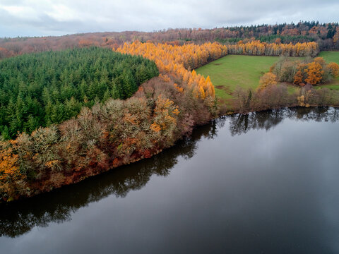 Aerial view of a mirror-like lake reflecting the vibrant autumn foliage of surrounding trees, showcasing nature's colorful transition, Morvan, France.