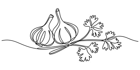 Garlic vector illustration, background. One line drawing art illustration with lettering organic garlic. Garlic one line drawing, Continuous Line Drawing Of Garlic & Parsley On A Transparent © Creative Tania