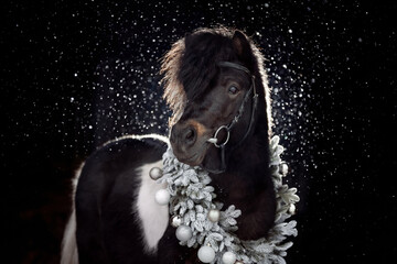 A black and white pony stands against a dark background with falling snow, wearing a festive Christmas wreath made of frosted branches and silver ornaments