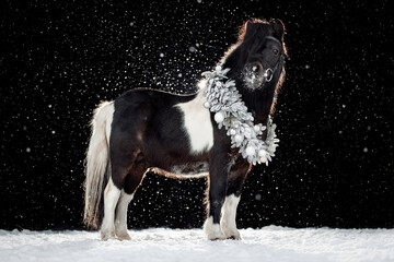 A black and white pony stands against a dark background with falling snow, wearing a festive Christmas wreath made of frosted branches and silver ornaments