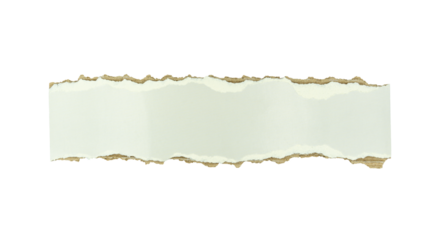 Horizontal torn paper strip with rough edges isolated on white background.