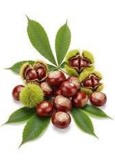 Chestnuts and Leaves - A Detailed Composition on White Background.
