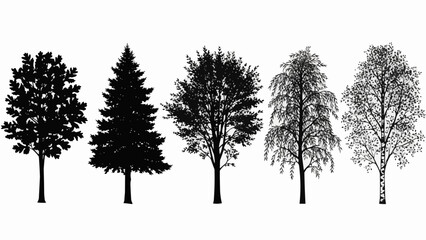 Obraz premium Collection of diverse tree silhouettes and line art illustrations.