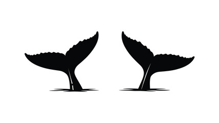 Two whale tails breaching the surface a captivating ocean scene silhouette © asma