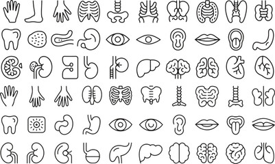 Human Anatomy Outline Icons Set with Body Organs and Parts