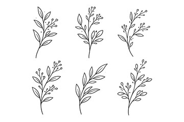 Fototapeta premium Elegant floral line art collection featuring delicate botanical branches