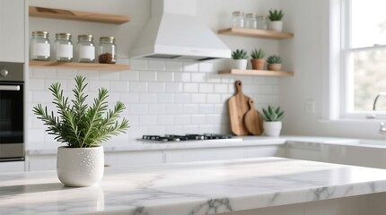 Bright Modern Kitchen Countertop with Marble Surface and Fresh Herbs