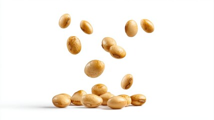 Soybeans levitate isolated on a white background.