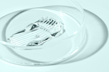 Moisturizing cosmetic skin cream in a Petri dish.