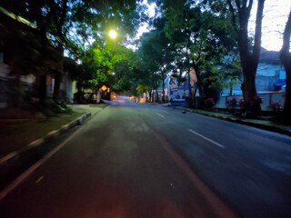 Tree lined street at dusk empty road glows under soft lights, wrapped in quiet urban greenery.