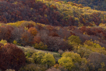 autumn in the mountains of abruzzo