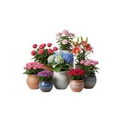Potted flowers on Transparent Background