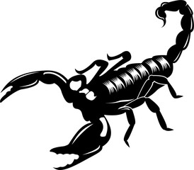 Fototapeta premium scorpion vector illustration