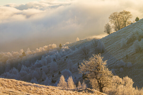 In the mountains near Paltinis, Sibiu, Romania