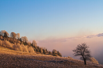 Landscape in Romania, Paltinis, Sibiu