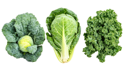 Brussels sprouts kale and collard greens three leafy winter crops on transparent background