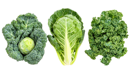 Brussels sprouts kale and collard greens three leafy winter crops on transparent background