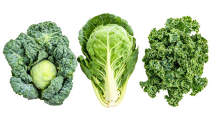 Brussels sprouts kale and collard greens three leafy winter crops on transparent background