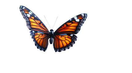 Naklejka premium Butterfly emerging with open wings transformation and new beginning on transparent background