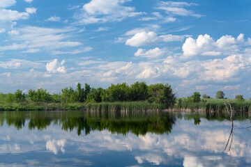 A calm lake reflecting lush green trees and a vibrant blue sky filled with white cumulus clouds on a bright summer day.