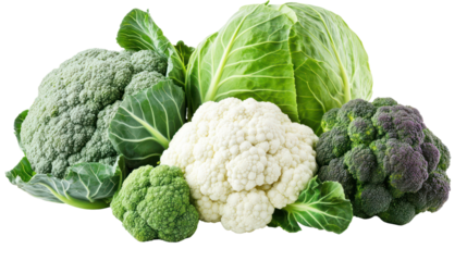 Cabbage kale Cauliflower and collard greens three leafy winter crops together on transparent background