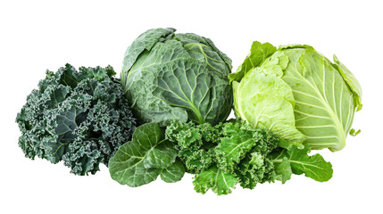 Cabbage kale Cauliflower and collard greens three leafy winter crops together on transparent background