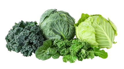 Cabbage kale Cauliflower and collard greens three leafy winter crops together on transparent background