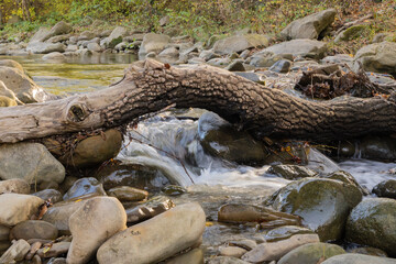 Moss-covered fallen tree trunk spans rocky bed mountain river, with water flowing gently beneath and smooth stones scattered along creek bed.