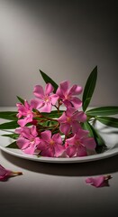 Pink Oleander Flowers on a White Plate.