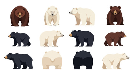 Fototapeta premium Cute Bear Character Vector Collection in Multiple Poses and Angles