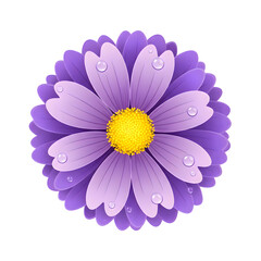 Fototapeta premium Purple Daisy with Water Droplets and Abstract Vertical Stripes Background flower bloom