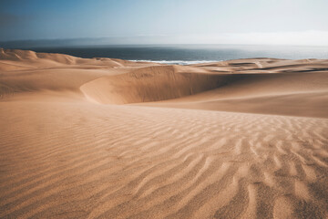 wide landscape over the sand dunes of the desert of namib in sandwich harbour with a view on the atlantic ocean © Francesca Emer